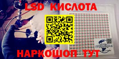амф Кимры