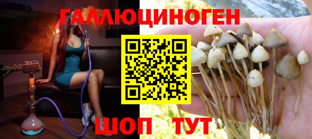Галлюциногенные грибы MAGIC MUSHROOMS  хочу наркоту  Верхняя Пышма  Вход с VPN  Псилоцибиновые грибы MAGIC MUSHROOMS 